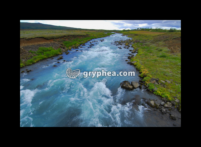 Torrent Tungulfjot (Islande) - gryphea.com